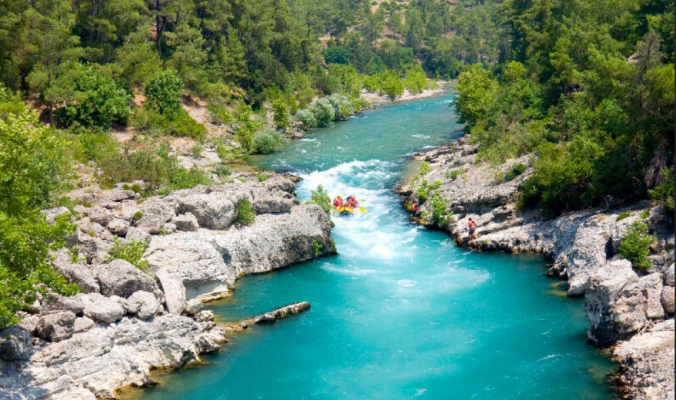 Firefox_Screenshot_2024-04-01T15-38-10.938Z